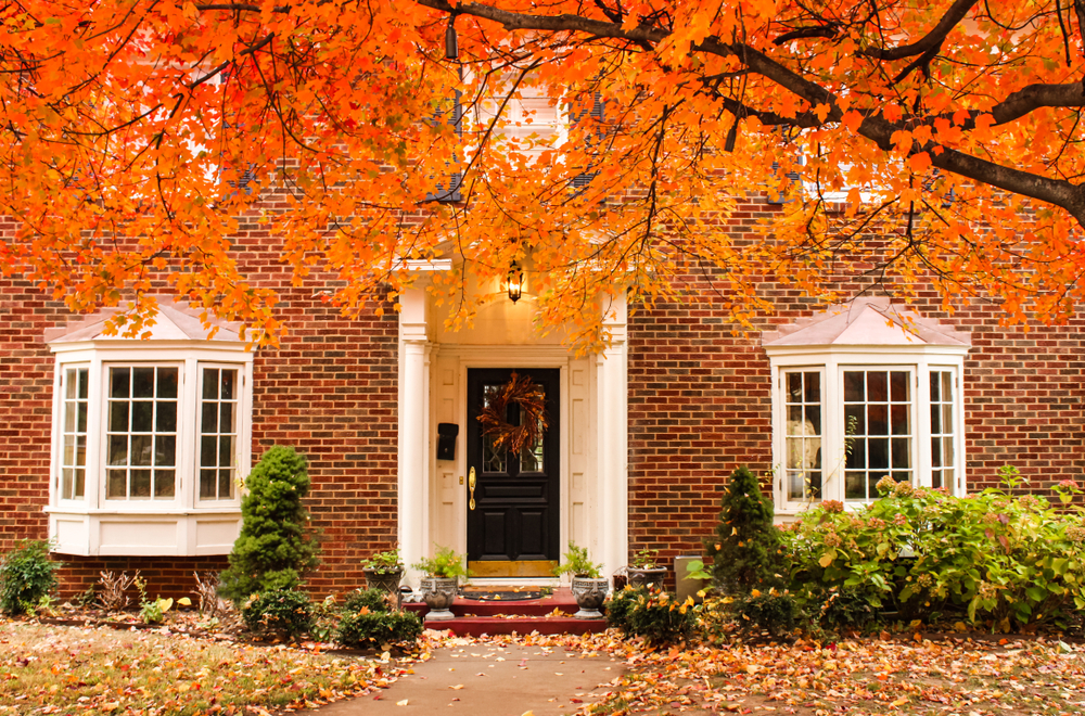 Changing Colors of Autumn Have us Thinking
